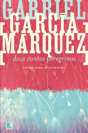 Capa do livro Doze contos peregrinos