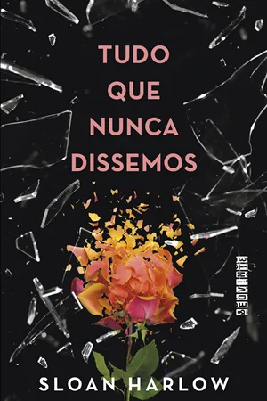 Tudo que nunca dissemos